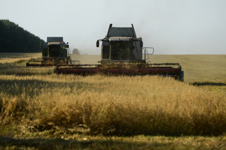 Хозяйства Дагестана завершили уборку яровых зерновых и бахчевых культур