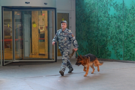 Оперативные службы Астрахани не нашли бомб в "заминированных" зданиях