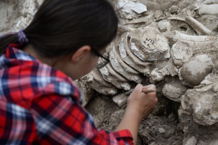 Археологи обнаружили в Калининградской области массовое захоронение раннего Средневековья