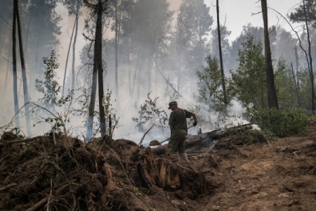 Лесной пожар площадью около 7 га тушат в Северной Осетии