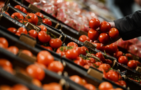 Россия планирует с 1 декабря возобновить поставки томатов 4 предприятиям Турции