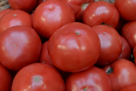Поставка 50 тыс. тонн турецких томатов в РФ не повлияет на рынок в целом
