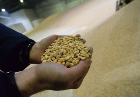 РЖД не ждут проблем с поставками зерна в Санкт-Петербург