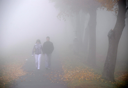 Густой туман с видимостью менее 50 метров накроет Башкирию