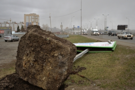 Пять районов Волгоградской области пострадали из-за штормового ветра