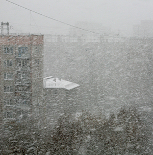 Сильный снег и ветер ожидаются в южных и центральных районах Хабаровского края