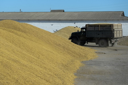 Аграрии Карачаево-Черкесии планируют собрать почти 380 тыс. тонн зерна