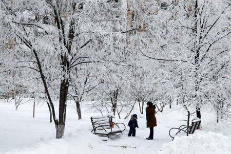 Из-за снега и резкого похолодания в Москве объявлен желтый уровень опасности