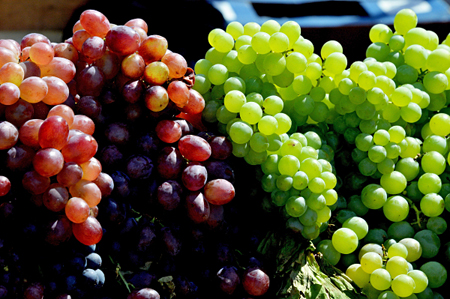 Севастополь увеличил на 20% сбор винограда в 2017 году