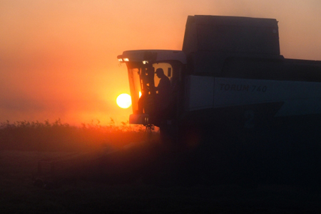 Дагестан к 2020г планирует увеличить объем производства сельхозпродукции в 1,5 раза