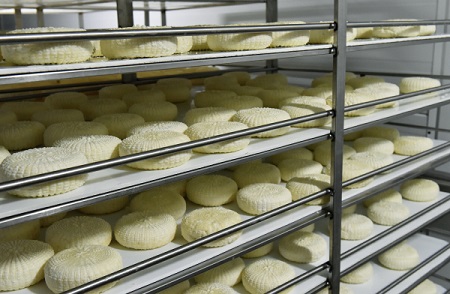 Завод по производству сыров планируется запустить в 2018г в Карелии