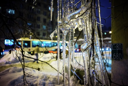 Мокрый снег и плюсовая температура ждут петербуржцев на Новый год