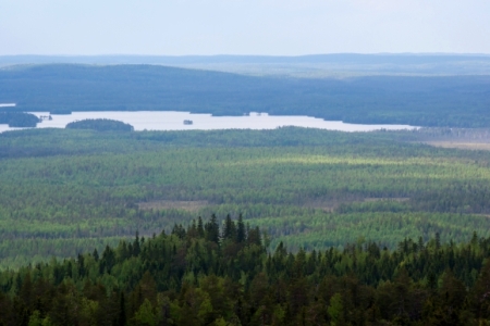 В Карелии создается национальный парк "Ладожские шхеры"