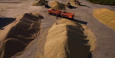 Тамбовская область в 2017г вдвое увеличила экспорт зерна