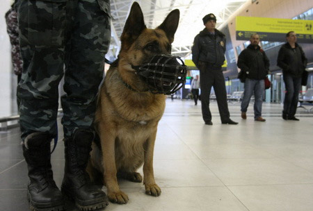 Пакет с 10 кг костей мамонта изъят у пассажира в аэропорту Красноярска