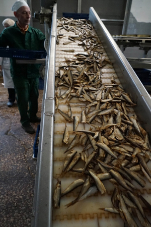 Десятки тонн рыбы ценных пород погибло на томском предприятии