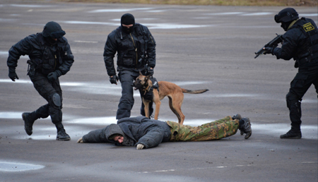 Мужчина, открывший стрельбу по полицейским, ликвидирован в Рязанской области