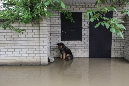 В Волгоградской области из-за паводков вводится режим ЧС