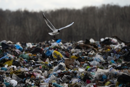 Петиция против ввоза мусора в Ярославскую область за неделю собрала более 35 тыс. подписей