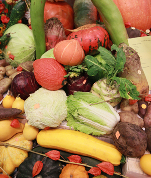 Сезонное подорожание некоторых овощей в Ростовской области продлится до нового урожая