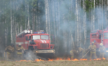 Рост количества лесных пожаров отмечается в Челябинской области из-за поджогов травы