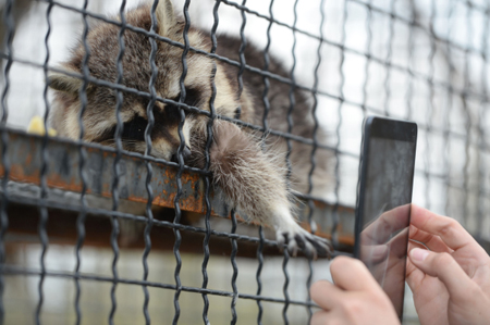 Московский зоопарк в мае заработает в летнем режиме
