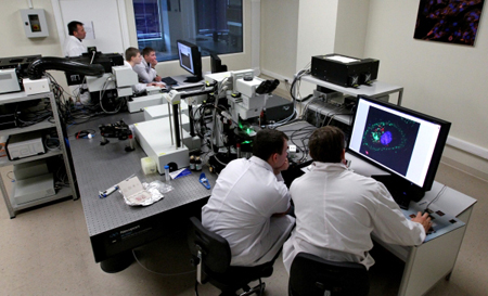 Российские и британские ученые придумали, как улучшить разрешение самых мощных микроскопов