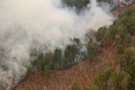 Самые сильные лесные пожары в РФ бушуют на Дальнем Востоке