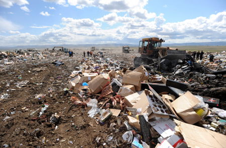 Московский мусор будут ввозить в Ярославскую область до конца года - власти