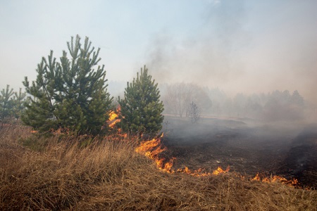 Лесная подстилка горит в горах Крыма, к тушению пожара привлечен вертолет Ми-8