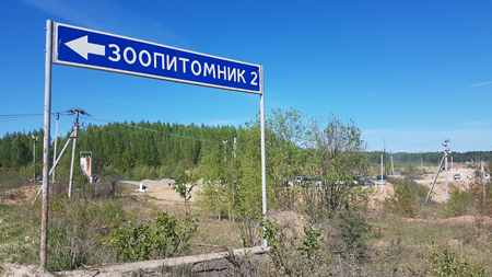 Конфликт вокруг свалок перекинулся из Волоколамского в соседний Рузский район Подмосковья