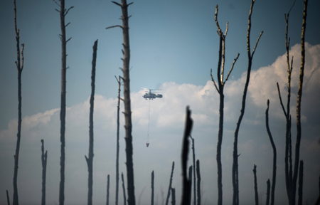Высокая пожароопасность в лесах более чем 60 регионов РФ прогнозируется в ближайшие сутки