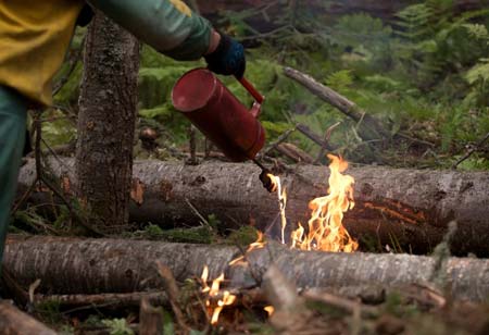 Казаков в Югре привлекают к защите населенных пунктов от лесных пожаров