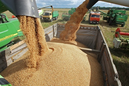 Морские порты Ростовской области могут в 2018г увеличить перевалку зерна на 16,8%