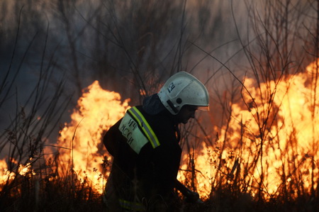 Более 70% площади всех лесных пожаров в России приходится на Приамурье