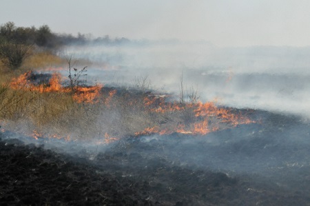 Особый противопожарный режим ввели более чем в 300 населенных пунктах Ростовской области