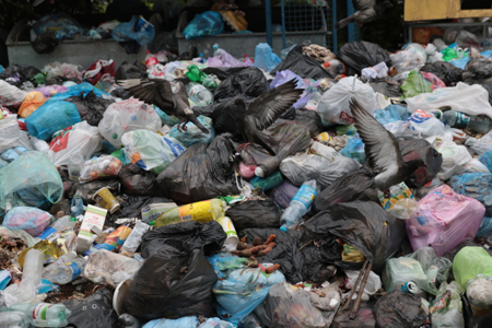Глава Подмосковья поручил в "кратчайшие сроки" ликвидировать все незаконные свалки и навалы мусора