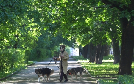 Пожелания москвичей учтут при благоустройстве парка "Вагоноремонт" на севере столиы