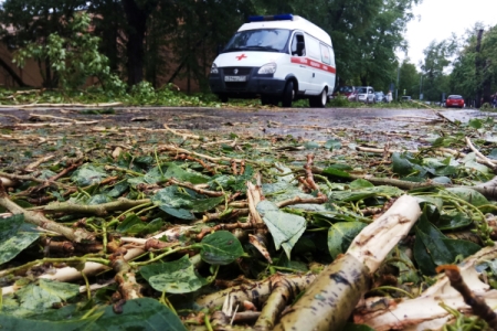 Более 20 деревьев упало в Кемерово из-за штормового ветра