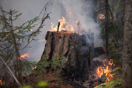Два лесных пожара на площади почти 450 га тушат в ХМАО