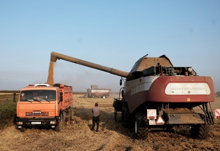 Курская область приступила к уборке зерновых