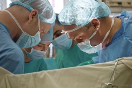 Технология трансплантации