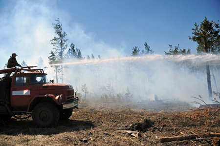 Власти Заполярья выделили более 65 млн рублей на борьбу с лесными пожарами