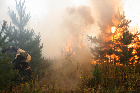 Сухие грозы стали причиной новых лесных пожаров на севере Иркутской области