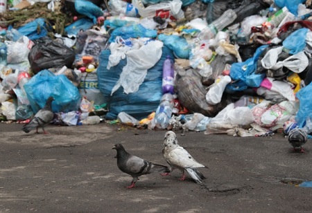 Министерство ЖКХ Крыма обещает в ближайшее время решить проблему с вывозом мусора в Симферополе