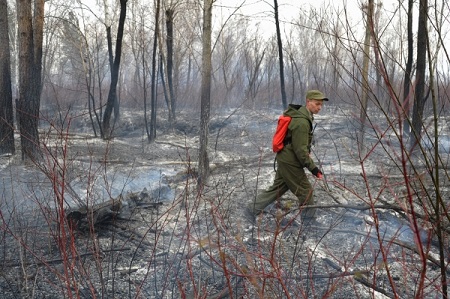 Особый противопожарный режим отменен в Забайкалье