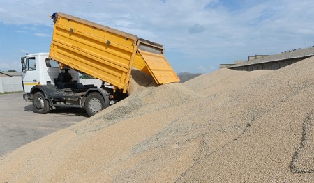 Аграрии Тамбовской области собрали 2 млн тонн зерна
