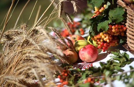 Гостей праздника "Августовские спасы" в Ялуторовске угостят яблочным вареньем и чаем из 150-литрового самовара
