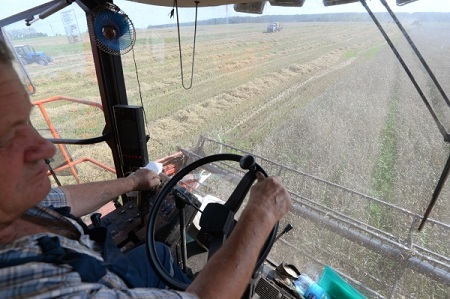Курская область завершила уборку ранних зерновых