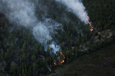 Два лесных пожара потушили в Бурятии, еще один продолжает действовать